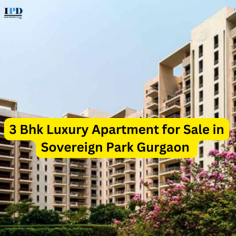 Its proximity to SGT University (8.8 km) positions this 3 Bhk Luxury Apartment for Sale in Sovereign Park Gurgaon as a desirable choice for scholars and students. Moreover, its accessibility benefits business execs and those in industrial areas, thanks to the nearby IMT Manesar, 14.2 km distant. The Quality Inn Gurgaon, just 9.1 km away, is a suitable venue for guests or events.

