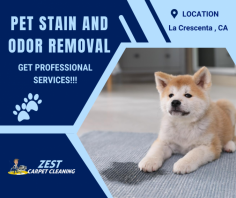 Reclaim Your Home From Pet Messes 

Enjoy our extensive and dependable pet stain and odor removal services that leave you with everything clean once again. We recognize how essential it is that you have such surroundings not only because they are perfect for you but also your pets. Call us at 818-590-9440 for more details. 

