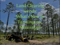 Looking for top-notch Land Clearing Services in Farmington, Mississippi? We specialize in forestry mulching in Mississippi, providing efficient and eco-friendly solutions for your property. Our expert team uses advanced equipment to clear land quickly and sustainably, making it perfect for construction, farming, or landscaping. Trust us for professional and reliable forestry mulching services in Mississippi. Contact us today to get started!
