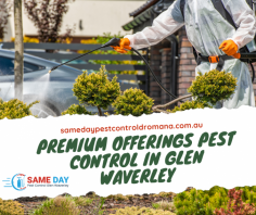 Pests plaguing your Glen Waverley property? Our seasoned pest control professionals will swiftly and discreetly eradicate the problem, allowing you to enjoy your haven in peace. Click https://samedaypestcontrolglenwaverley.com.au/ to book now.