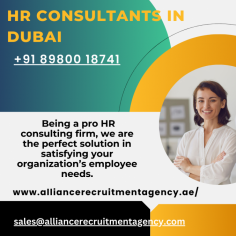 HR consultants help businesses focus on their main goals by handling a variety of HR requirements.