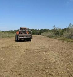 Looking for land clearing services in Alamo Heights, TX? Our experienced team specializes in safe and efficient land clearing, making your property ready for any project. From tree removal to debris cleanup, we ensure a thorough and environmentally responsible process. Contact us today to get started on your land transformation!