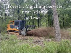 Discover the benefits of Forestry Mulching Services near Atlanta, Texas, for your property. Our land clearing services in Atlanta, Texas, are designed to promote sustainable land management and improve soil health. By utilizing advanced forestry mulching techniques, we help control invasive species and enhance native vegetation growth. Trust our experienced team to provide reliable forestry mulching services in the Atlanta, Texas area. Improve your land’s value and usability with our expert land clearing solutions. Contact us now to schedule a consultation.