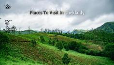 Thekkady, nestled in Kerala's Western Ghats, offers an array of places to visit. The Periyar Wildlife Sanctuary, with its elephants and tigers, is a nature lover's dream, complemented by serene boat rides on Periyar Lake. The ancient Mangala Devi Temple provides spiritual and scenic beauty. Explore aromatic spice plantations in Murikkady
Read More:
https://wanderon.in/blogs/places-to-visit-in-thekkady