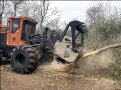 Experienced in commercial land clearing services in Balcones Heights, Texas, our team delivers efficient and thorough land clearing solutions for all types of commercial properties. We utilize state-of-the-art equipment to handle everything from site preparation to debris removal, ensuring your project starts on the right foot. Trust us to enhance your property's accessibility and value. Contact us today to discuss your land clearing needs!