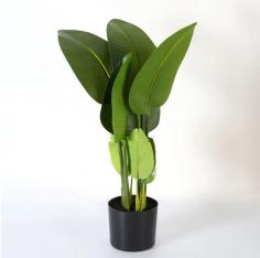 Faux Potted Tree Indoor Artificial Canna Bonsai
https://www.artificial-pant-factory.com/product/artificial-plants/indoor-trees/
Indoor Trees Have Long Been Used As A Means Of Adding Beauty, Interest, And Greenery To Indoor Spaces. However, Caring For Live Indoor Trees Can Be A Challenge, Requiring Just The Right Amount Of Sunlight, Water, And Attention. In Recent Years, Artificial Indoor Trees Have Become An Increasingly Popular Alternative To Live Trees, Offering All The Benefits Of Natural Trees Without The Maintenance Requirements. Artificial Indoor Trees Offer Numerous Benefits Over Live Indoor Trees. They Require No Watering Or Sunlight, Making Them A Low-Maintenance Option For Those Who Want The Beauty Of Indoor Trees Without The Hassle Of Caring For Live Plants. Artificial Trees Are Also An Excellent Choice For Those With Allergies Or Sensitivities To Plant Materials, As They Do Not Shed Leaves, Produce Pollen, Or Attract Insects.