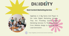 DigiDeity Is A Big Name And Player In the India Digital Marketing Industry. They Are Providing Quality Digital Marketing Services To Their Customers From Website design to Rankings And Lead Generation.