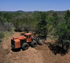 Searching for mulching land clearing services in Spring Branch, Texas? Our skilled team provides professional and eco-friendly land clearing solutions to help you manage your property effectively. Contact us today to learn more and book your service!