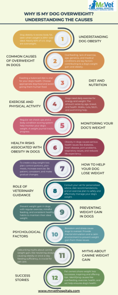 Keeping our furry friends healthy is a top priority for any pet owner. One common health concern is canine obesity, which can lead to a host of problems if not addressed. But why do dogs become overweight, and how can we help them? Let’s dive into the causes and solutions for managing your dog’s weight.

