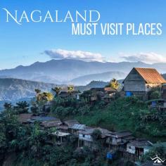 Nagaland, a northeastern gem of India, offers vibrant cultural experiences at the Hornbill Festival in Kohima, serene beauty in the lush Dzukou Valley, and historical insights at the Kachari Ruins in Dimapur. The state's picturesque landscapes and rich tribal heritage make Nagaland a must-visit place for any traveler. 
Read More: https://wanderon.in/blogs/places-to-visit-in-nagaland