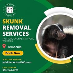 Skunks can threaten your property and the safety of your loved ones. At Wildlife Control 360, we offer comprehensive skunk removal services in Temecula to effectively eliminate these creatures from your premises. Visit our website today for reliable solutions!
