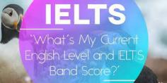 Discover the breakdown of the IELTS band score system, including its significance and how it's assessed. Learn strategies to improve your IELTS band score effectively.
