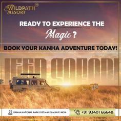 Are you ready for an extraordinary experience ? The enchantment of Kanha National Park and create memories that last a lifetime. Don't wait, book your adventure now !  