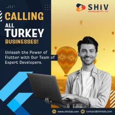 Why settle for ordinary when you can upgrade your app with top Flutter developers in Turkey? At Shiv Technolabs, we specialize in transforming your mobile experience into something extraordinary. By utilizing Flutter technology our expert team optimize your app's performance, usability, and scalability. Whether you're starting or looking to enhance an existing app, our developers ensure seamless integration and stunning UI/UX design tailored to your needs. Contact us to get the best Flutter development services in Turkey
