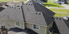 Best Roof and Gutter Cleaning Services in Puyallup, WA

Discover top-tier Roof and Gutter Cleaning Services in Puyallup WA with Ecoclean Northwest. Our expert team ensures pristine results, safeguarding your home with thorough, eco-friendly practices. Trust us for reliable maintenance that enhances curb appeal and protects your investment. Contact us at 253-617-1944.

Visit:- https://ecocleannw.com/eco-clean-northwest-roof-cleaning/
