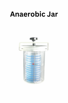 Labmate Anaerobic Jar is a hermetic-operated anaerobic chamber that creates  and maintain an oxygen-free environment for anaerobic microorganism cultivation. It features a 3/15 R petri dish holder and uses conventional O-rings and screw clamps for a secure seal. Made from PMMA material, it is lightweight and portable for easy transport.