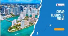 Cheap Flights to Miami Await: Dreaming of Miami's white sands and vibrant culture? Now you can explore it all with cheap flights! Find the lowest fares and start planning your Miami trip today. Don't miss out on these fantastic deals.