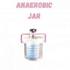 Labmate Anaerobic Jar, with a 7L capacity, creates an oxygen-free atmosphere for cultivating anaerobic microorganisms. It features pump operation, 3 stacks of 8 dishes (ɸ 9 to 10cm), O-rings, and screw clamps for a secure seal. Made from transparent PMMA, it ensures airtightness and clear monitoring, reaching anaerobic conditions in 3 to 5 minutes.