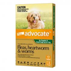 Defend your dogs against fleas, ticks, and worms with Advocate from DiscountPetCare Australia. Ensure your pet's health and vitality with reliable and effective parasite control.

https://www.discountpetcare.com.au/flea-and-tick-control/advocate-for-dogs/p1003.aspx