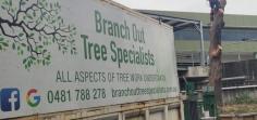 As a result, this is why time and time again, we are recognised as the leaders in quality tree management in Sydney. We’ve got the right tools and knowledge to make informed decisions about the correct process of your trees and grounds.
