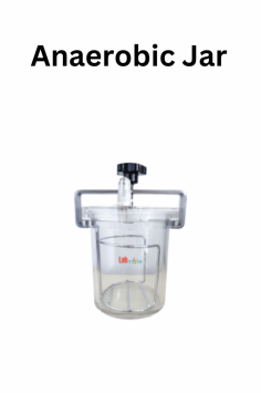 Labmate Anaerobic Jar creates and maintains an oxygen-free environment for anaerobic microorganism cultivation and can attain anaerobic conditions in 2 to 4 hours. It features a 1.5L capacity and is made up of transparent PMMA material, ensuring a clear view of its contents and facilitating easy monitoring. 
