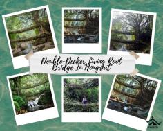 Experience the beauty of Meghalaya with the Double-Decker Living Root Bridge Trek. Walk through lush forests, past cascading waterfalls, and explore the rich culture of the Khasi people. This trek offers a unique blend of adventure and nature, showcasing the incredible living root bridges that make Meghalaya so special.
Read More : https://wanderon.in/blogs/double-decker-living-root-bridge
