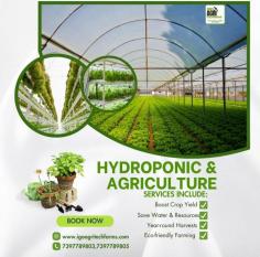 Hydroponic farming in India is rapidly gaining traction as an innovative and sustainable agricultural practice. At IGO AgriTech Farms, we specialize in providing comprehensive hydroponic agriculture solutions tailored to meet the unique needs of our clients. Our expertise in hydroponic systems installation ensures a seamless setup, allowing for efficient and productive farming without soil.  This method is particularly advantageous in urban areas where space is limited, enabling the cultivation of fresh produce year-round. By embracing hydroponic farming, we aim to revolutionize agriculture in India, promoting higher yields, reduced water usage, and healthier crops. Partner with IGO AgriTech Farms to explore the future of farming today.   For more information contact us: 7397789803,7397789805 www.igoagritechfarms.com