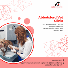 Best Abbotsford Vet Clinic working with a mission of passionate vet care

As a full-service Abbotsford Vet Clinic, our staff is trained and has years of experience in treating serious medical conditions of pets. We understand all animals deserve compassionate care and thus we make our Abbotsford Emergency Animal Hospital calm and comfortable so that your pets can relax.