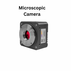 Labnic Microscopic Camera features a high-quality SONY Exmor CMOS sensor with a pixel size of 2.4×2.4 μm and resolutions ranging from 1.5MP to 45MP. It includes a 20M/IMX183 (C, RS) sensor (13.06×8.76 mm), real-time 8/12-bit depth switch, rolling or global shutter options, CNC aluminum alloy housing, advanced video and image  processing software, and ultra-fine HISP VP for high frame rates.