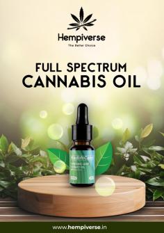 Full Spectrum Cannabis Oil
Full-spectrum cannabis oil contains all the natural compounds found in the cannabis plant, including cannabinoids, terpenes, and flavonoids. This type of oil is believed to offer the “entourage effect,” where these compounds work together to enhance the potential therapeutic benefits. It includes a small amount of THC, which can contribute to its effectiveness. Hempiverse will provide you with full spectrum cannabis oil that might be beneficial for you. It may be used for pain relief, anxiety, inflammation, and other health issues.