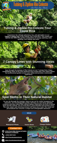 The best zipline adventure, views, and adrenaline. You will go through 7 lines of canopy, experience the landscape in the treetops on Rio Celeste, and observe sloths. Additionally, you’ll enjoy 3 lines over the beautiful river of crystal clear water.


Visit now: https://riocelesteaventuras.com/tours/adventure-zipline/