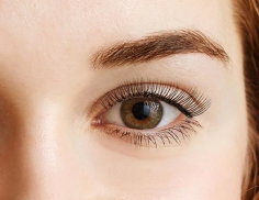 Get the best lash and brow tinting in Long Island City at New Spa Zone. Enjoy expertly tinted, long-lasting, and beautifully defined lashes and brows
