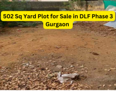 In addition to residential use, the 502 sq yards Plots in Gurgaon prime location and size make it an attractive option for investment. Properties in DLF Phase 3 Gurgaon are recognized for their potential to appreciate, thanks to the area’s popularity and ongoing infrastructure development. Investing in this plot could lead to significant returns in the future, whether through selling or renting out the property.

