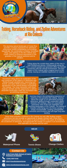 Infographic:- Tubing, Horseback Riding, and Zipline Adventures at Rio Celeste

We offer tours in Rio Celeste Costa Rica we guarantee that your vacation in Rio Celeste will be unforgettable. At Rio Celeste Aventuras we strive to provide one of the best activities for each of our visitors. Safety, adventures, the best local guides, beautiful views, hospitality and experiences.

Know more: https://riocelesteaventuras.com/
