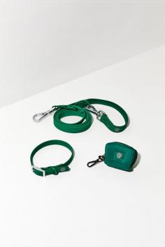 Get a stylish and eco-friendly green dog collar for your furry friend, which is comfortable and durable during adventures. Shop now at The Furry Nomad today!