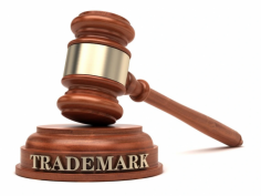 Apply for online trademark Registration. Get started with Legal Vistaar Consultancy transparent and hassle-free service. For more details related to trademark registration online, call us on +91 8267801110 or visit at : https://legalvistaar.com/trademark-registration/