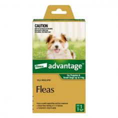 For controlling fleas and heavy flea infestation, Advantage for dogs is an excellent pet product. This spot-on is highly effective in killing adult fleas and larvae on dogs and their surroundings. It affects re-infesting fleas within 3 to 5 minutes, kills re-infesting adult fleas within 1 hour, and flea larvae in your dog's surroundings within 20 minutes of contact with the active ingredient.
