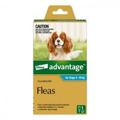 Advantage for Medium Dogs is a topical solution for medium size dogs that weigh between 4-10kg. This spot-on formula for dogs is highly effective in killing adult fleas and larvae on dogs and their surroundings. A single dose of Advantage Aqua pack kills re-infesting fleas within 1 hour and flea larvae in your dog's surroundings within 20 minutes of contact with the active ingredient.
