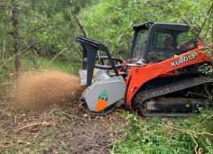 Get brush cleaning services in baker of  Florida Land Clearing. Our accomplished groups can deal with any size project, from little brush expulsion to enormous-scope parcel clearing. We use cutting-edge hardware and harmless ecosystem strategies to take care of business properly. Get in touch with us today for a free statement!