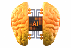 Access Useful Resources to enhance your knowledge base.
https://www.developerperhour.com/hire-artificial-intelligence-engineers