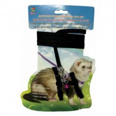 Explore the Percell Ferret Harness at VetSupply. This harness is fully adjustable and custom fit for a safe walking experience. Shop small animal accessories now!

