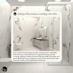 In the world of interior design, the allure of big size tiles is undeniable. These tiles have revolutionized how we approach flooring and wall coverings, offering a seamless, luxurious look that smaller tiles simply can't match. 

https://brceramics.com/big-size-tiles