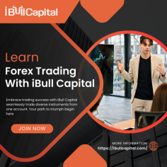 Embrace trading success with iBull Capital seamlessly trade diverse instruments from one account. Your path to triumph begin here