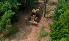 Looking to transform your property? Our land clearing contractors in Glasgow, Kentucky, provide top-notch services to clear and prepare your land for any project. Kentucky Forestry Mulching ensures efficient and environmentally friendly land clearing. Contact us today to learn more!