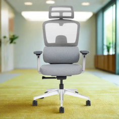 Are you looking for best ergonomic chair in India? Experience ultimate comfort with CELLBELL, offering the best ergonomic chairs in India. Designed to support your posture, our chairs feature adjustable settings and high-quality materials. Perfect for long hours of work, CELLBELL chairs ensure durability and style. Enhance your workspace with CELLBELL's ergonomic solutions. Visit - https://cellbell.in/
