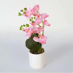 Artificial Phalaenopsis Orchid In Pot Pink Many Large Phalaenopsis
https://www.artificial-pant-factory.com/product/artificial-phalaenopsis-orchid-in-pot/
A Faux Orchid Plant is a decorative item that replicates the appearance of an orchid using artificial materials. Unlike real plants, it does not require watering, sunlight, or any maintenance to sustain its appearance. The term "faux" implies that it is a replica, and in the case of a Faux Orchid Plant, it is designed to closely resemble the delicate beauty of real orchids without the need for live plant care.