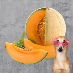 Check it out for more: https://thedogsmeal.com/can-dogs-eat-honeydew/