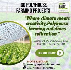 IGO AgriTech Farms leads the way in this agricultural revolution, providing innovative polyhouse farming solutions tailored to the unique needs of Chennai’s farming community.  We delve into the benefits of polyhouse farming, the available government schemes, installation processes, and the vibrant polyhouse farming community in Chennai.  Government Schemes for Polyhouse Farming in Chennai  Several government schemes and subsidies are available to support polyhouse farming in Chennai, making it more accessible and affordable for farmers.  National Horticulture Mission (NHM): Offers financial assistance for polyhouse construction and modern farming techniques. Pradhan Mantri Krishi Sinchai Yojana (PMKSY): Focuses on improving irrigation efficiency, crucial for polyhouse farming. Sub-Mission on Agricultural Mechanization (SMAM): Provides subsidies for agricultural equipment and machinery necessary for polyhouse farming. These schemes help reduce the initial investment and operational costs, making polyhouse farming a viable option for farmers in Chennai.  Top polyhouse farming company |Agriculture technology Some advantages of open cultivation include: Lower initial setup costs compared to controlled environment methods like hydroponics or greenhouse cultivation. Reliance on natural sunlight and rain, reducing energy costs. Large-scale production potential, suitable for growing crops that require extensive space, such as grains, oilseeds, and fiber crops. Opportunity for natural pest control and pollination through ecosystem services provided by beneficial insects and wildlife. http://www.igoagritechfarms.com/ Installing a polyhouse involves careful planning and expertise. At IGO AgriTech Farms, we provide end-to-end solutions for polyhouse installation, ensuring a seamless setup process.  Our Services:  Site Assessment and Planning: Thorough assessment of land to determine the best design and layout for your polyhouse. Construction and Installation: High-quality materials and advanced construction techniques to build durable and efficient polyhouses. Training and Support: Comprehensive training and ongoing support to help manage and optimize polyhouse farming operations. The Thriving Polyhouse Farming Community in Chennai  Chennai has a growing community of polyhouse farmers who are experiencing the benefits of this innovative farming method. By joining this community, farmers can:  Network and Collaborate: Connect with fellow farmers, share experiences, and collaborate on best practices. Access Resources and Knowledge: Gain access to a wealth of information and expertise to enhance polyhouse farming operations. Market Opportunities: Explore new market opportunities for selling high-quality produce. Get Started with IGO AgriTech Farms  Ready to transform your farming practices with polyhouse farming? Contact IGO AgriTech Farms today to learn more about our services and how we can help you take advantage of government schemes and join the thriving polyhouse farming community in Chennai.  Visit our website: www.igoagritechfarms.com  Call us: 7397789803, 7397789805