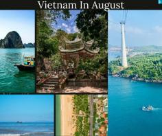 Planning a trip to Vietnam in August? Our ultimate guide has you covered! Discover the best things to do, from breathtaking attractions to hidden gems. Whether you're looking for vibrant city life or peaceful countryside, you'll find it all here. Plus, learn about the weather in Vietnam in August to help you decide when to visit. Let us help you create unforgettable memories with our tips and recommendations. Dive into the heart of Vietnam and experience its culture, cuisine, and stunning landscapes like never before. Read more at https://wanderon.in/blogs/vietnam-in-august
