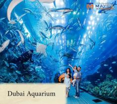 Explore Dubai like never before with Mayra Tours' exclusive attraction packages! From the towering Burj Khalifa to the enchanting Dubai Marina, our carefully curated packages ensure you experience the best of Dubai's wonders. Book your Dubai attraction packages today and create unforgettable memories. 

Visit us here - https://mayratours.com/attractions-tickets/